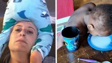 1750394979 imagens mostram que para ter filhos e preciso ter nervos Imagens mostram que para ter filhos é preciso ter nervos de aço