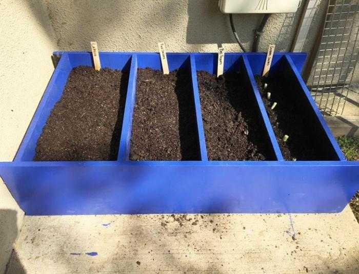 1750395135 885 31 fotos mostrando que e possivel criar coisas legais apenas