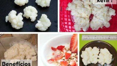 O Que É Kefir? Benefícios Comprovados