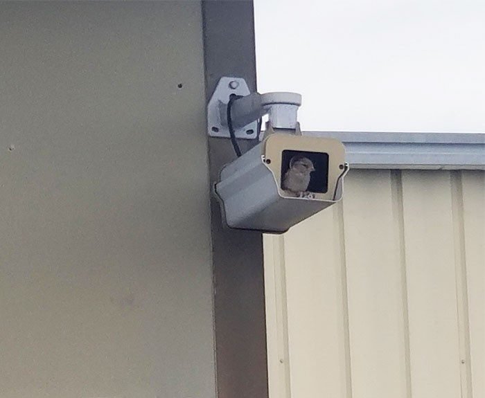 1750397688 426 22 vezes as medidas de seguranca nao foram muito bem