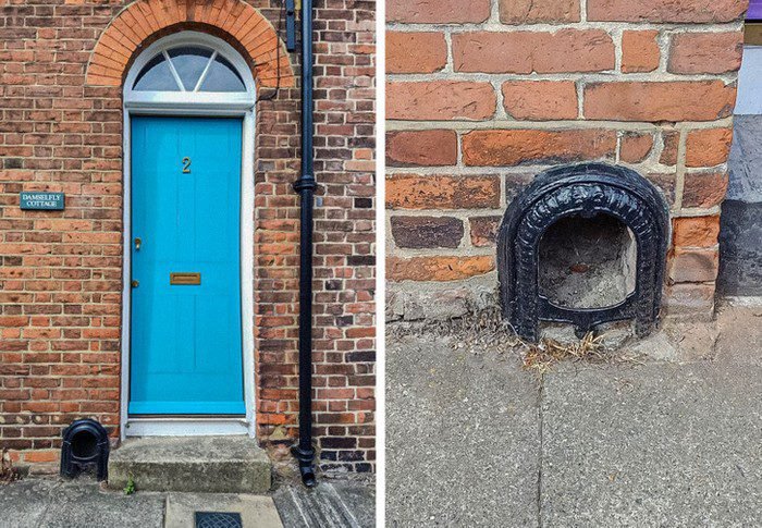 20 Pessoas que deram mal em tirar selfies