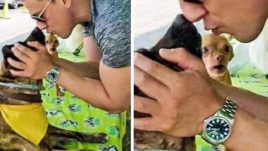 17 imagens que revelam a face verdadeira do ciúme