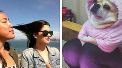 12 Imagens que não são nada do que você está pensando