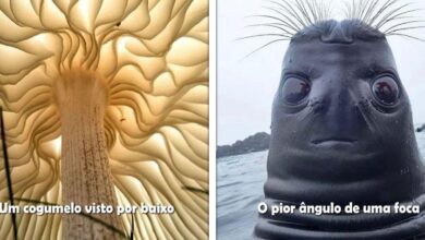 1750416890 23 angulos alternativos de fotos que mostram o mundo de 23 Ângulos alternativos de fotos que mostram o mundo de uma forma pouco vista