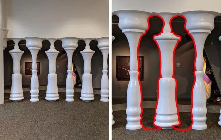 1750417333 378 15 fotos que mereciam ganhar o premio angulo do ano