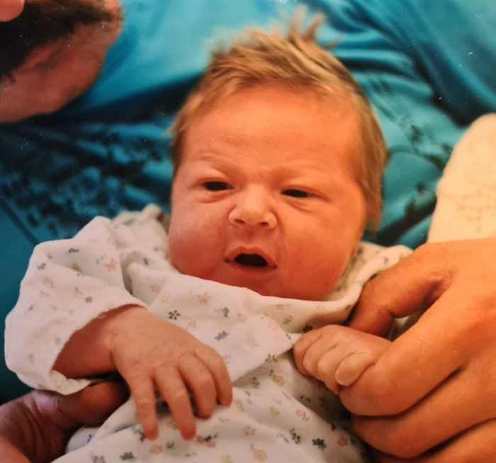 Como plantar girassol? - Decorando Casas