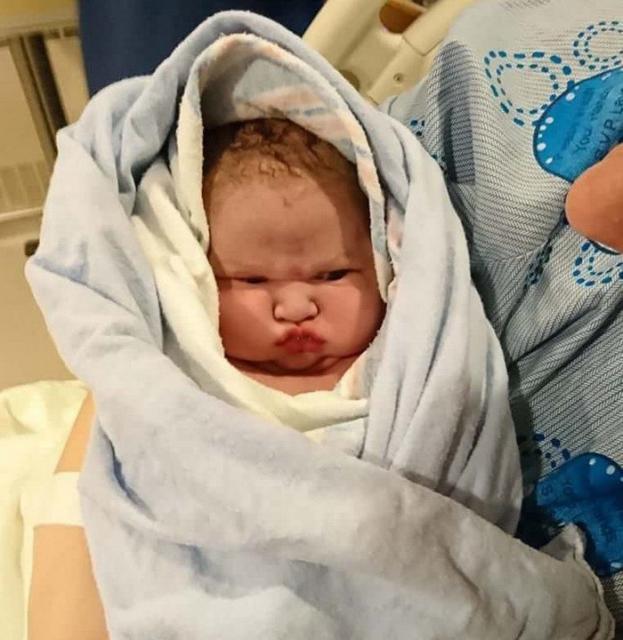 8 motivos para você comer alho todos os dias - Cura Pela Natureza