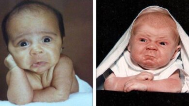 16 Bebês que parecem já ter vindo ao mundo com 80 anos