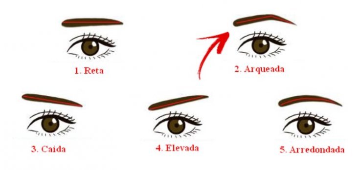 1750427951 476 qual e o seu tipo de sobrancelha sobran2