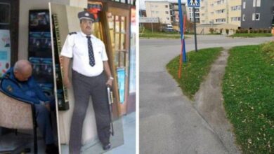 18 pessoas que levaram a preguiça para um novo nível