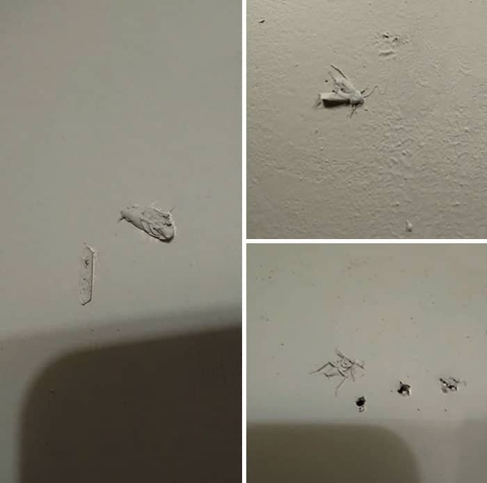 1750438586 714 18 pessoas irritantemente preguicosas que e dificil acreditar que