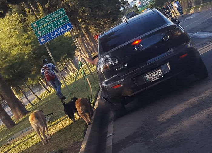 1750438587 506 18 pessoas irritantemente preguicosas que e dificil acreditar que