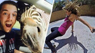 1750438906 20 pessoas que deram mal em tirar selfies 20 Pessoas que deram mal em tirar selfies