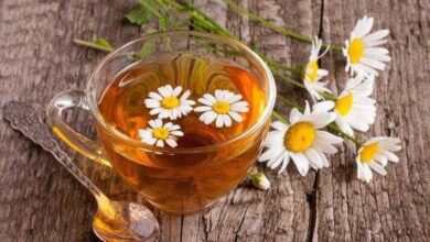8 benefícios do chá de camomila para sua saúde