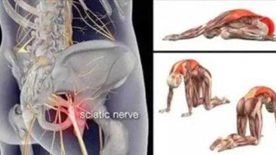 12 alongamentos para você prevenir e curar a dor ciática, no quadril e nas costas!