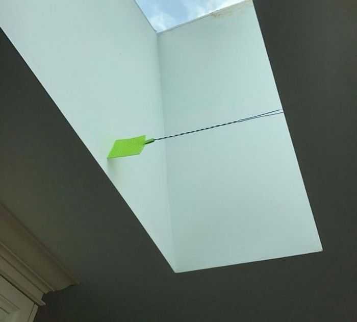 18 pessoas que encontrou pequenas surpresas em sua própria casa 3 18 pessoas que encontrou pequenas surpresas em sua própria casa 3