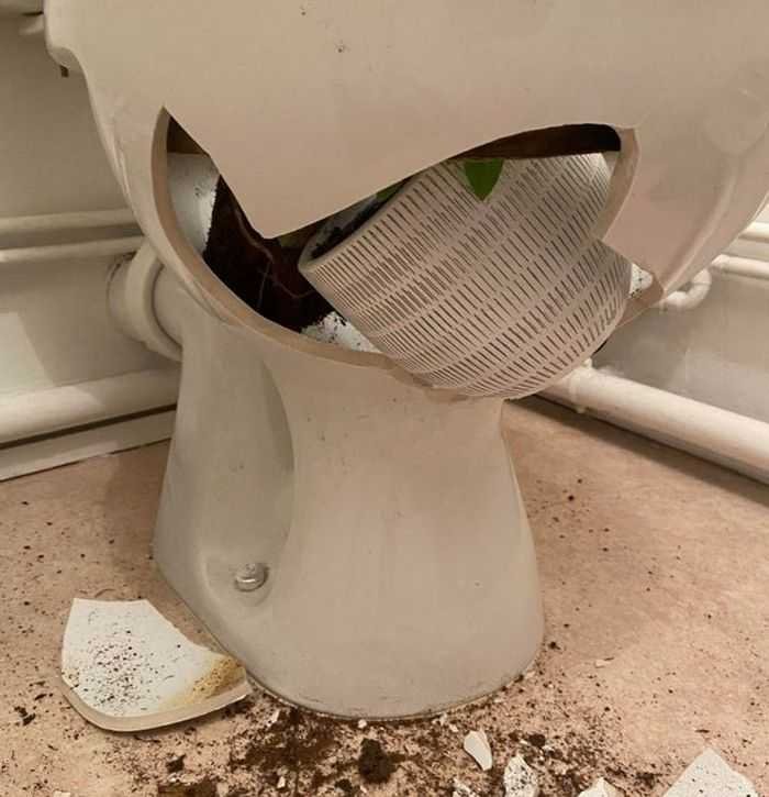 18 pessoas que encontrou pequenas surpresas em sua própria casa 4 18 pessoas que encontrou pequenas surpresas em sua própria casa 4