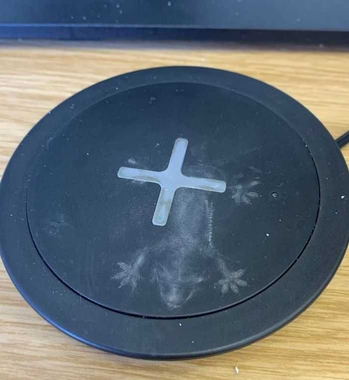 18 pessoas que encontrou pequenas surpresas em sua própria casa 6 18 pessoas que encontrou pequenas surpresas em sua própria casa 6