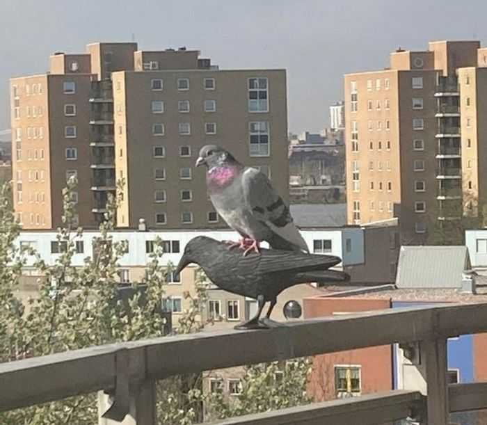 18 pessoas que encontrou pequenas surpresas em sua própria casa 8 18 pessoas que encontrou pequenas surpresas em sua própria casa 8