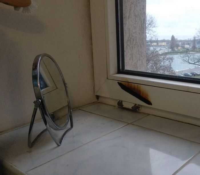 18 pessoas que encontrou pequenas surpresas em sua própria casa 9 18 pessoas que encontrou pequenas surpresas em sua própria casa 9