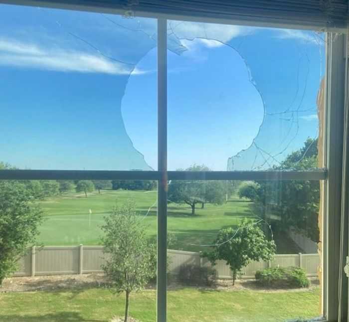 18 pessoas que encontrou pequenas surpresas em sua própria casa 11 18 pessoas que encontrou pequenas surpresas em sua própria casa 11