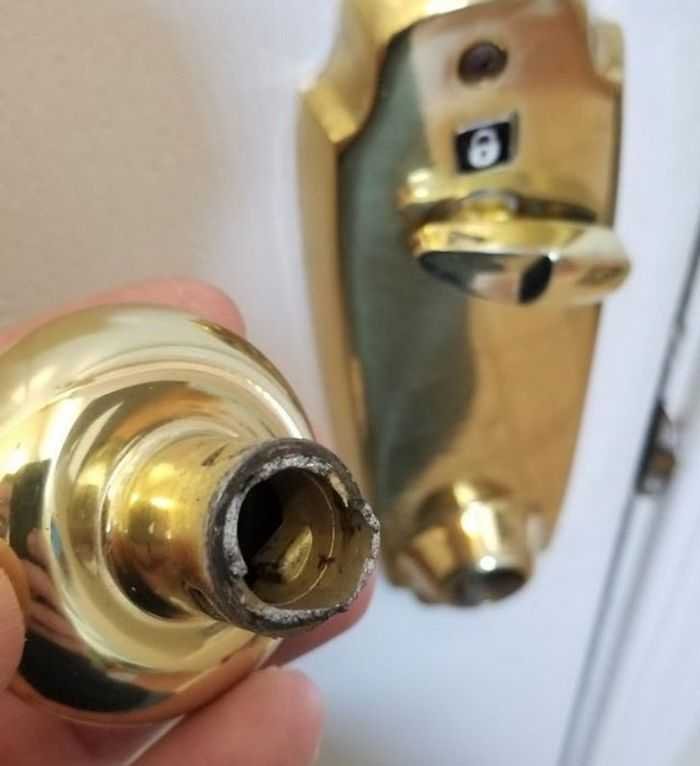 18 pessoas que encontrou pequenas surpresas em sua própria casa 13 18 pessoas que encontrou pequenas surpresas em sua própria casa 13