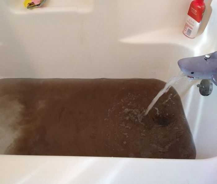 18 pessoas que encontrou pequenas surpresas em sua própria casa 19 18 pessoas que encontrou pequenas surpresas em sua própria casa 19