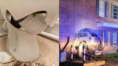 1750448679 18 pessoas que encontraram pequenas surpresas em suas proprias casas 18 pessoas que encontraram pequenas surpresas em suas próprias casas