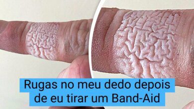 16 fotos de coisas comuns de ângulos estranhos que vão te surpreender