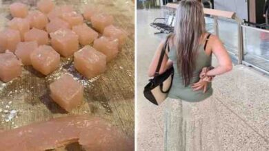 20 vezes que as imagens não são o que parecem à primeira vista