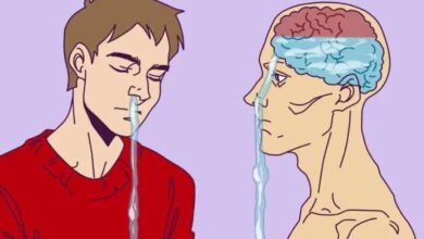 8 Curiosidades aleatórias sobre o corpo humano