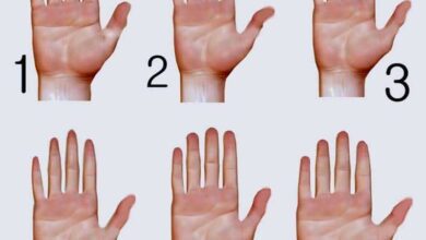 Veja-o-que-formato-da-sua-mão-diz-sobre-você