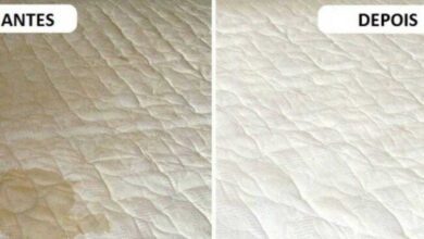 Como remover manchas e odores do colchão
