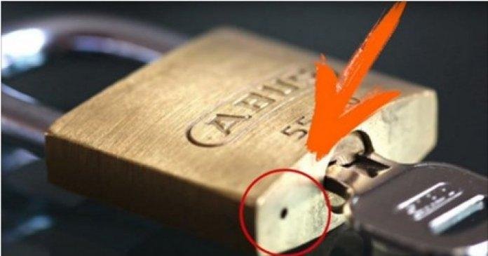 1750467848 722 voce ve estas coisas todos os dias mas nem imagina