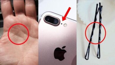 1750467849 voce ve estas coisas todos os dias mas nem imagina Você Vê Estas Coisas Todos Os Dias, Mas Nem Imagina Para Que Elas Servem!