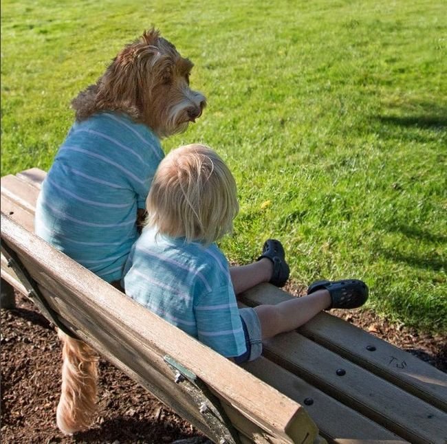 cachorro-roupas-bebe-5