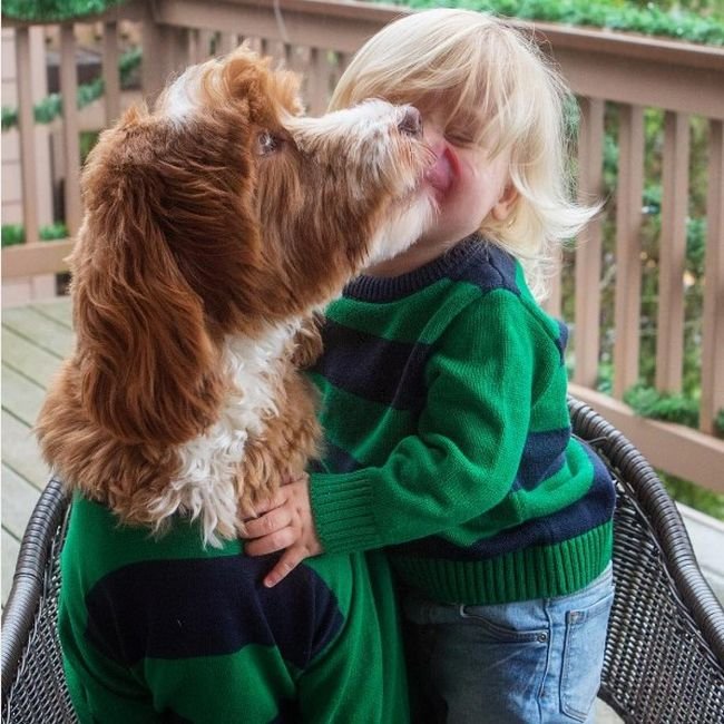 cachorro-roupas-bebe-4