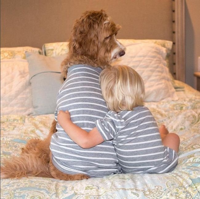 cachorro-roupas-bebe-6