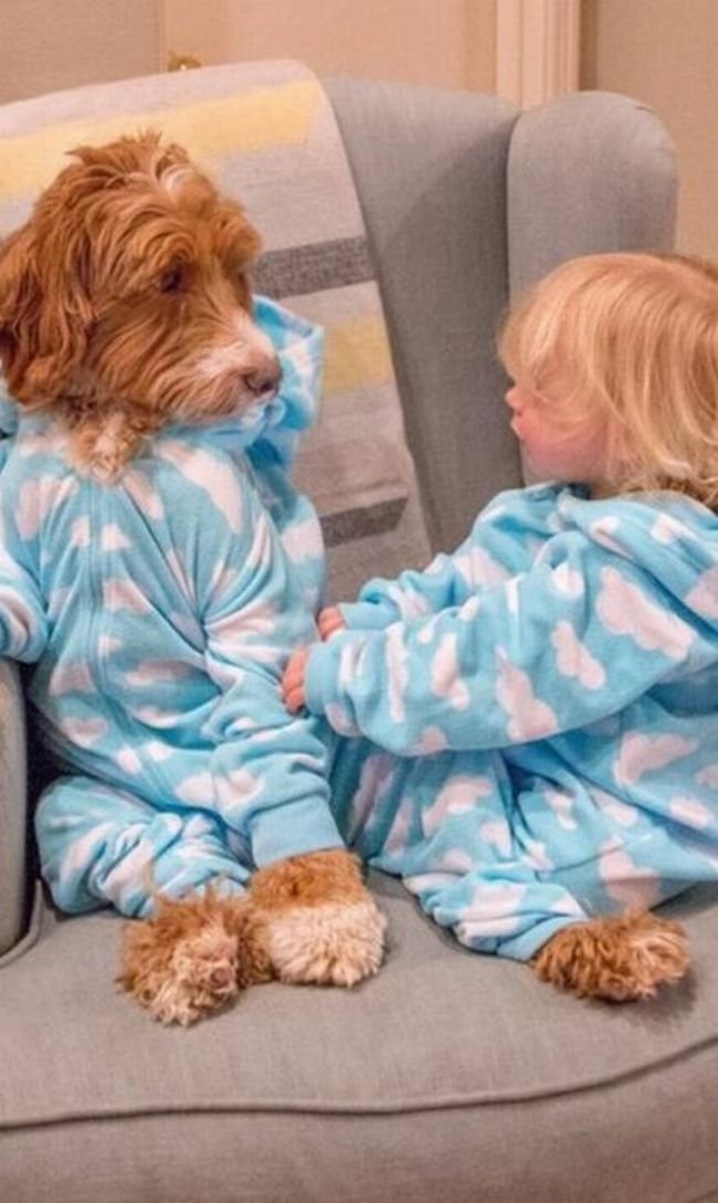 cachorro-roupas-bebe-1