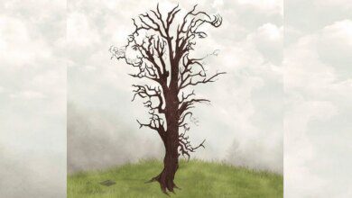 “Teste anti demência”: Descubra como anda sua percepção e encontre os rostos!