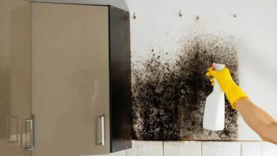 1750471774 basta pulverizar isso na parede para se livrar do mofo Basta pulverizar isso na parede para se livrar do mofo definitivamente