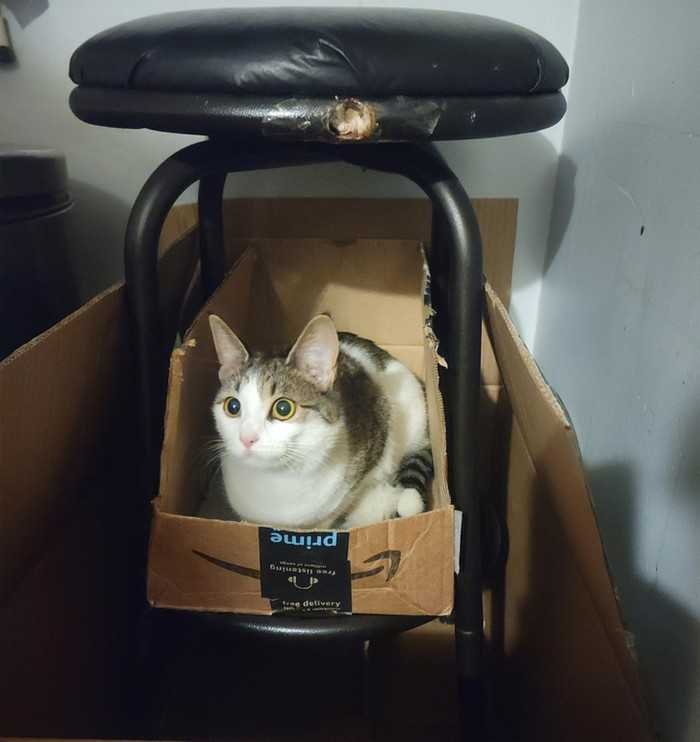 17 pessoas criativas que usaram a arte da improvisação para resolver seus problemas d