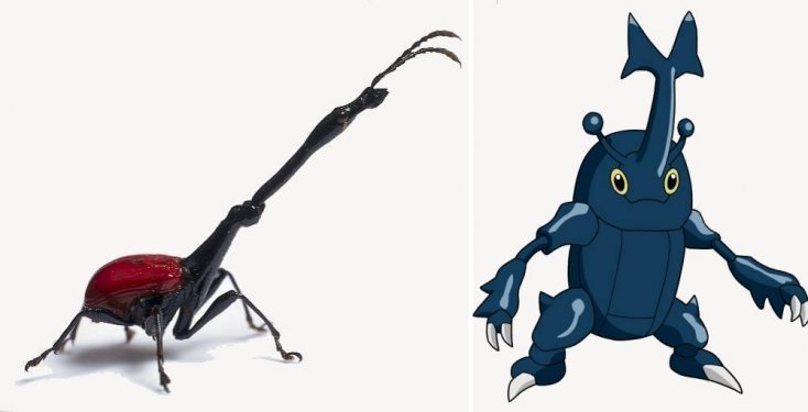 1750475890 184 16 pokemons que existem na vida real pokemon2