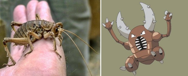 1750475893 611 16 pokemons que existem na vida real pokemon5