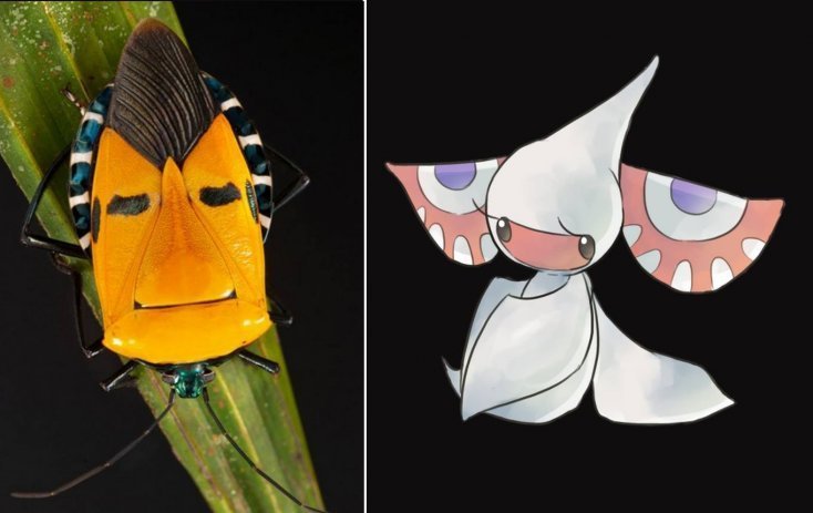 1750475895 85 16 pokemons que existem na vida real pokemon7