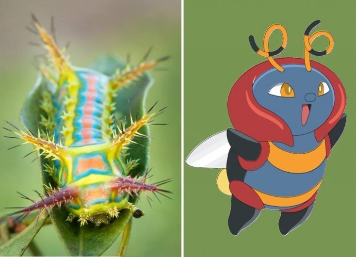 1750475897 419 16 pokemons que existem na vida real pokemon8