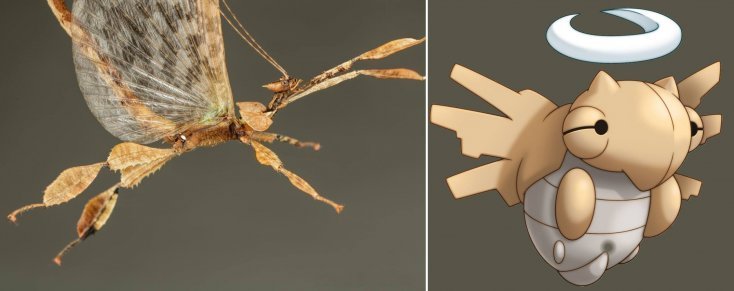 1750475899 236 16 pokemons que existem na vida real pokemon10