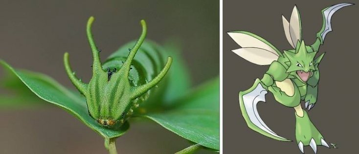 1750475901 32 16 pokemons que existem na vida real pokemon12