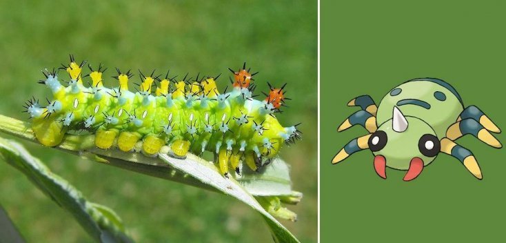 1750475902 885 16 pokemons que existem na vida real pokemon13