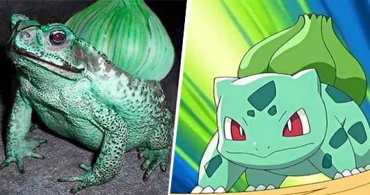1750475905 641 16 pokemons que existem na vida real pokemon15